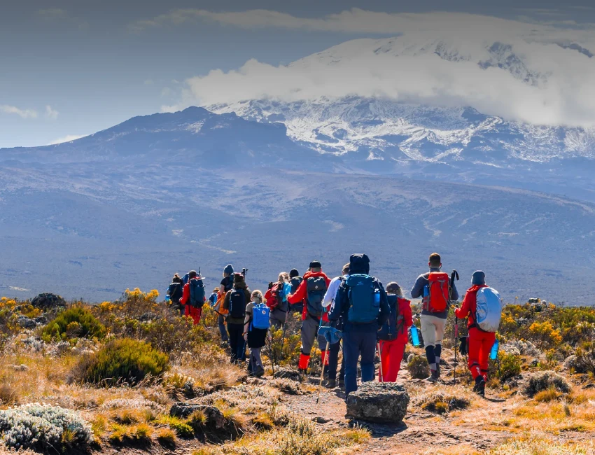 Kilimanjaro climbing