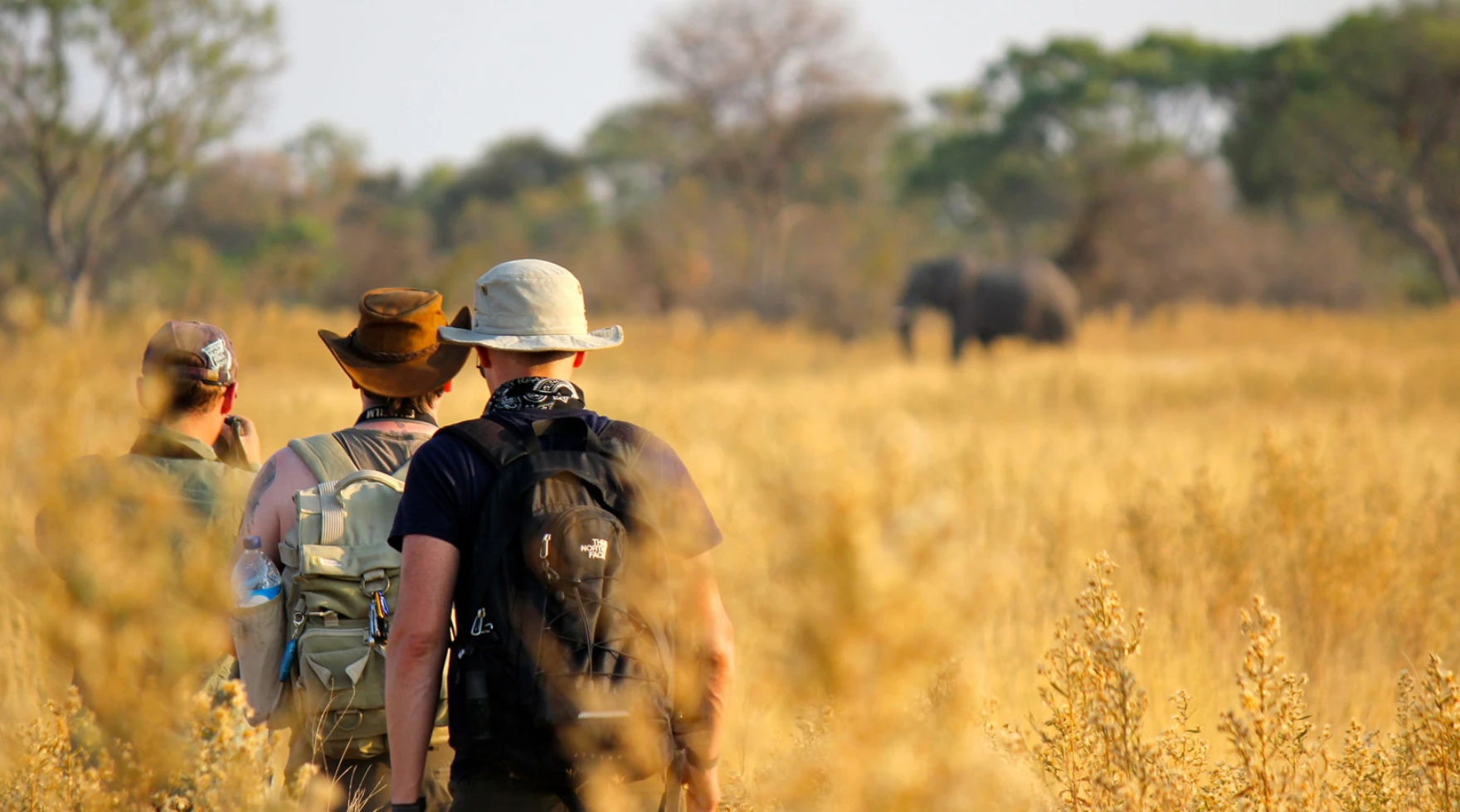 Tanzania Walking Safari