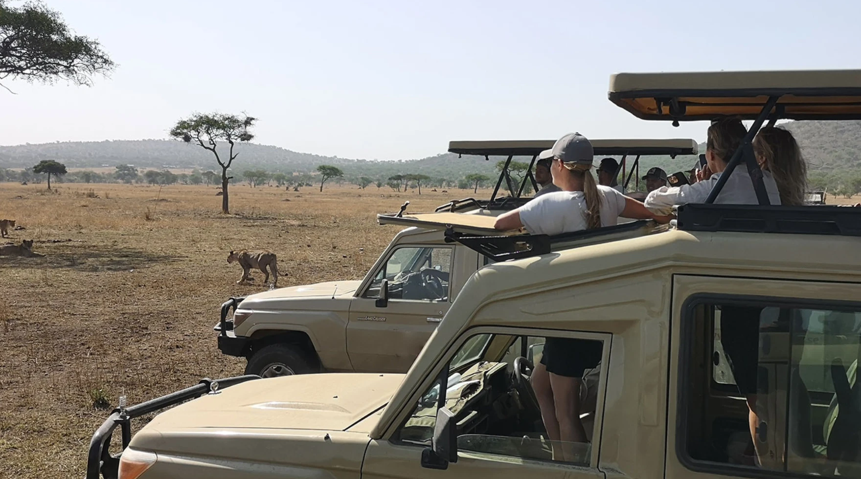 Tanzania Game Drive