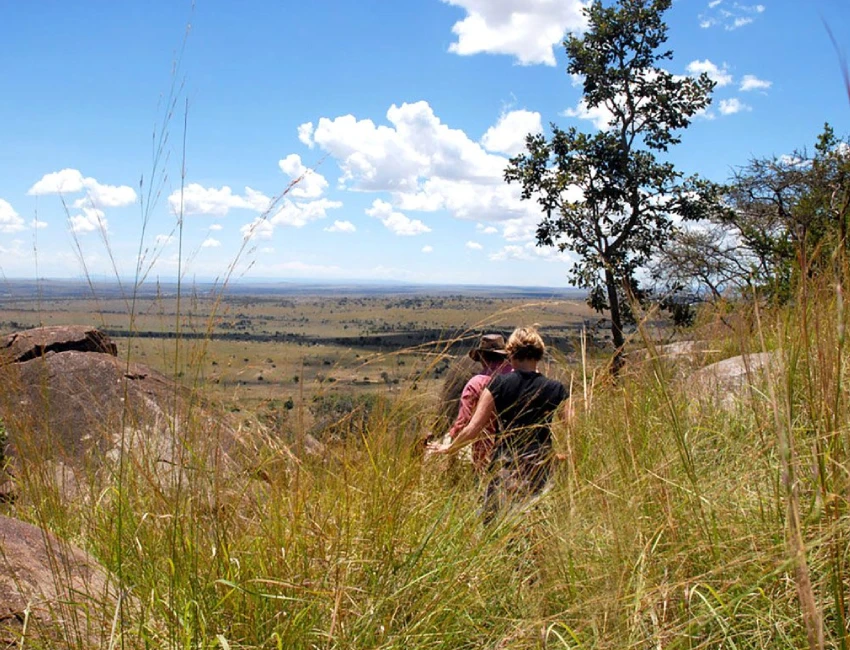 Tanzania Walking Safari
