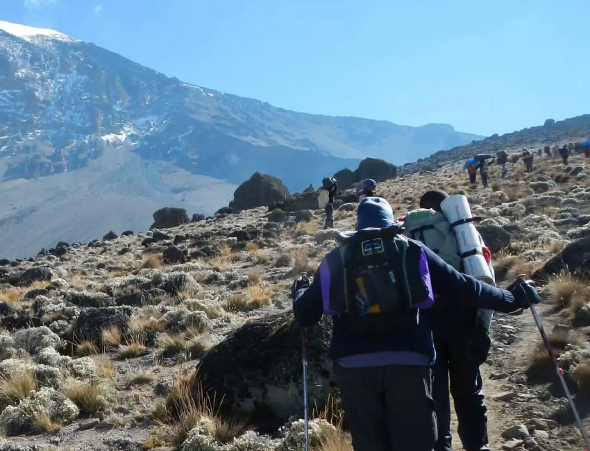 kilimanjaro trekking view