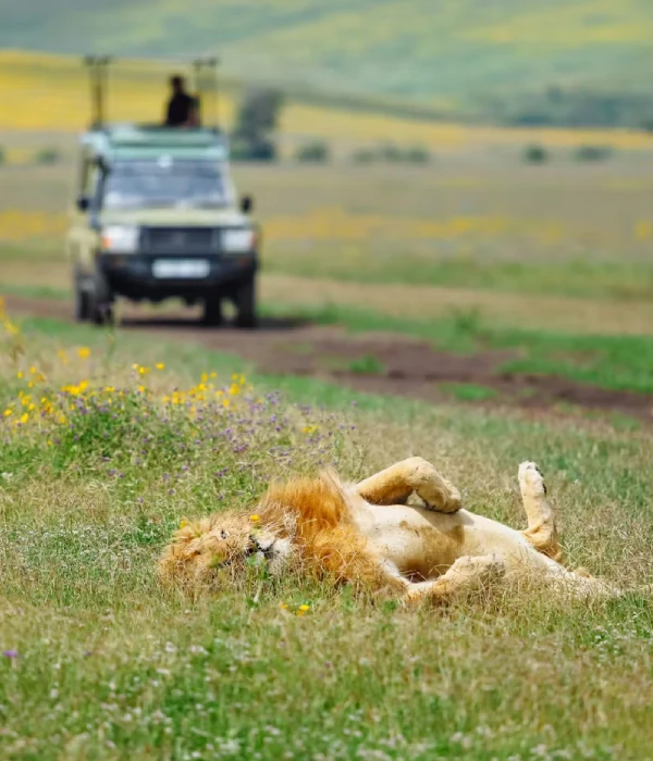 Game Drives