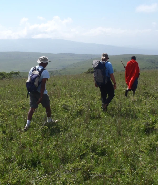 Ngorongoro Crater Walking safari