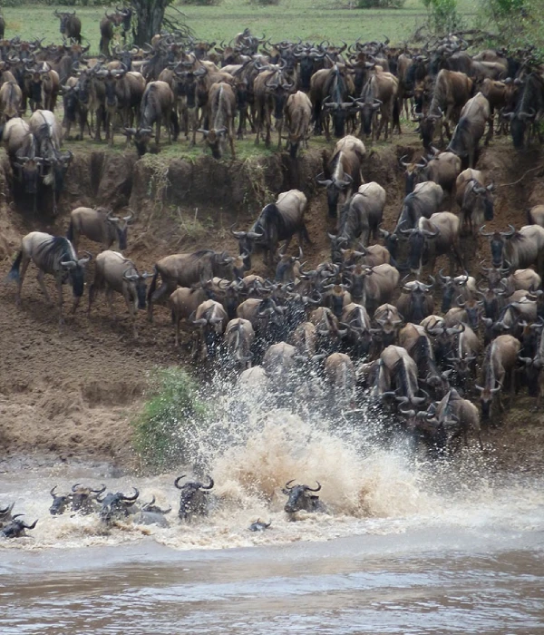 Serengeti