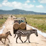 tanzania safaris view