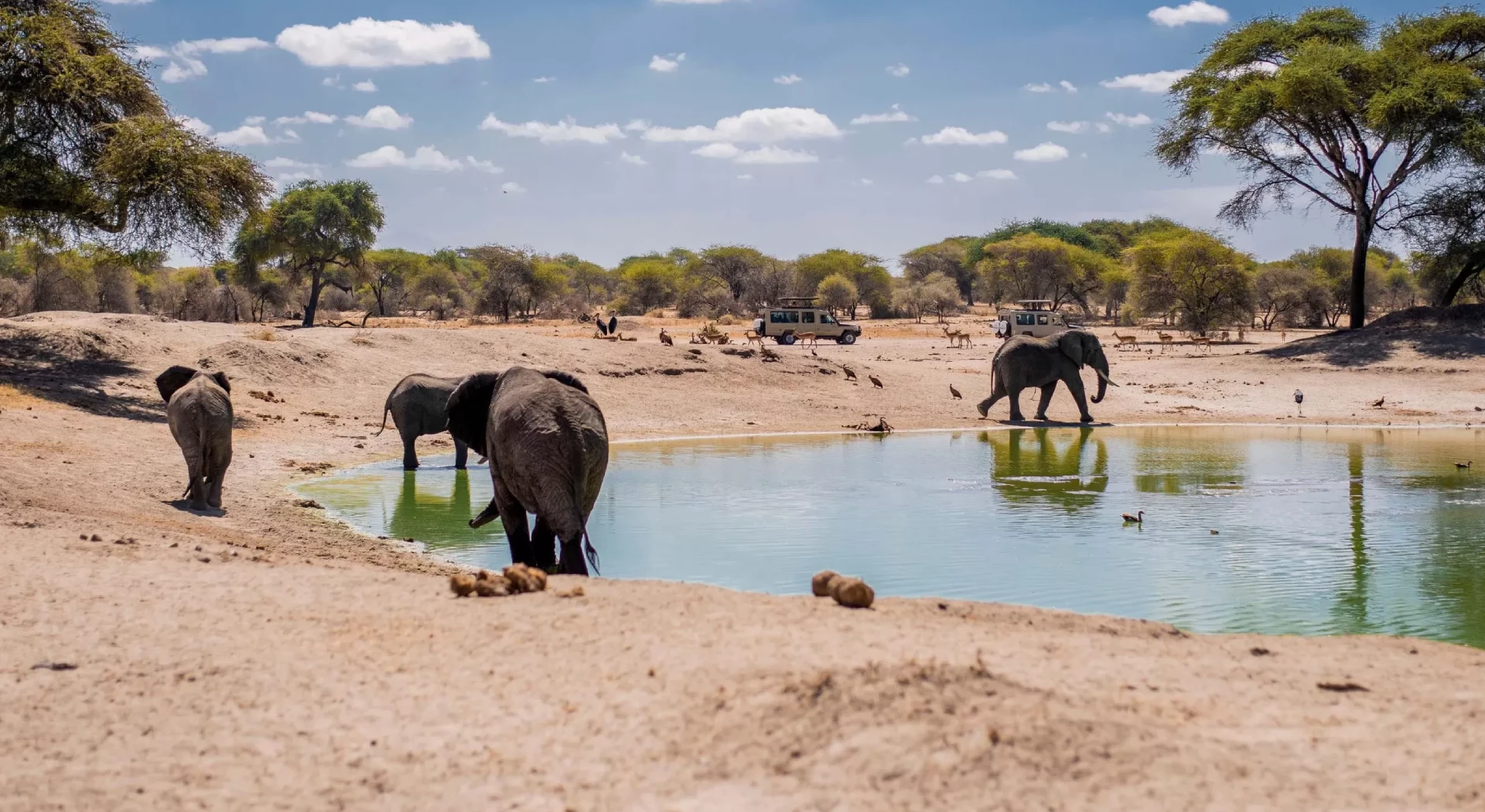Tanzania Travel Guide