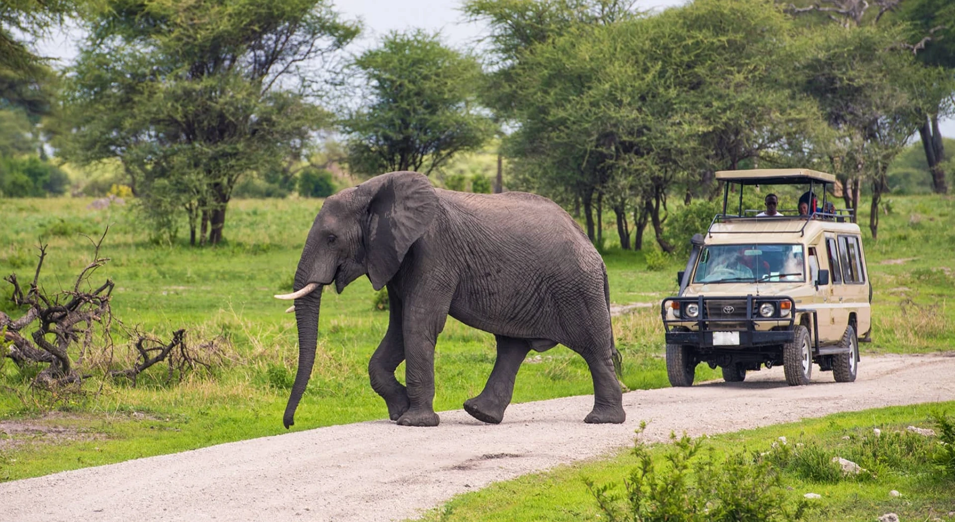 Tarangire National Park