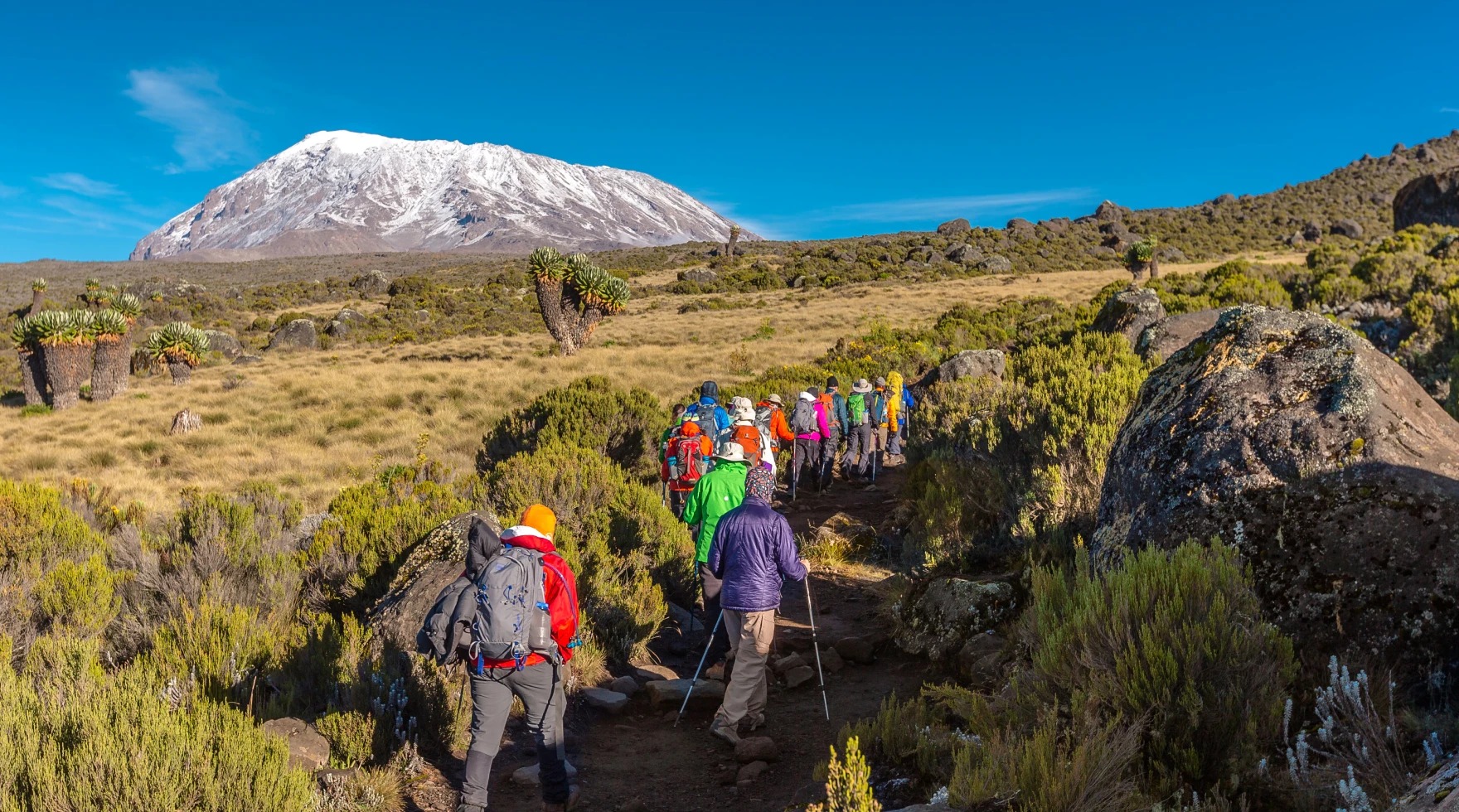 vaccination for kilimanjaro view